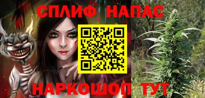 PSILOCYBIN Заволжье