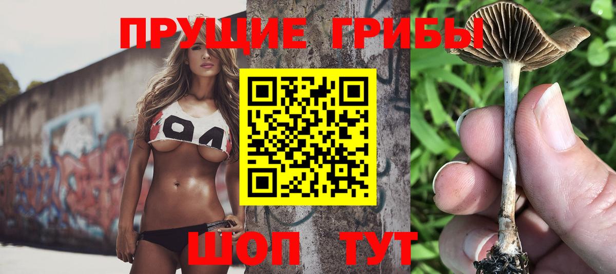 Зима  Галлюциногенные грибы GOLDEN TEACHER  Вход с VPN 